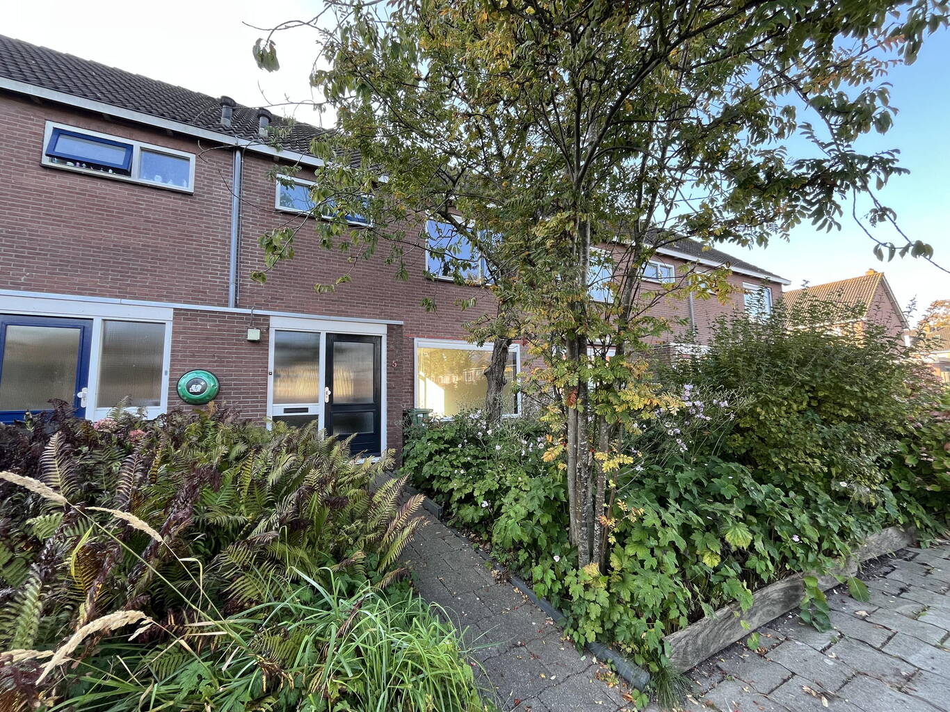 Buikslotermeerstraat 5 EDAM