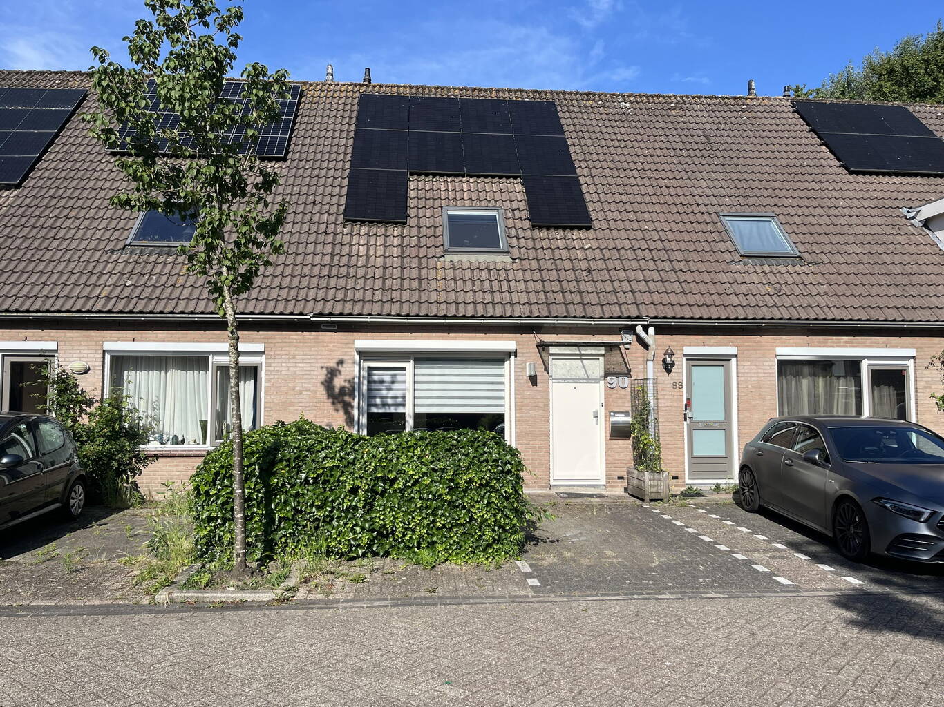Pinksterbloem 90 PURMEREND