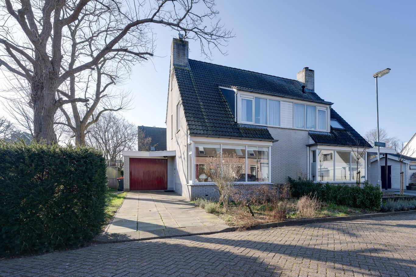 Tormentil 20 ILPENDAM