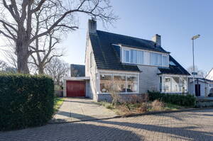 Tormentil 20 ILPENDAM