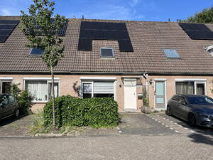 Pinksterbloem 90 PURMEREND