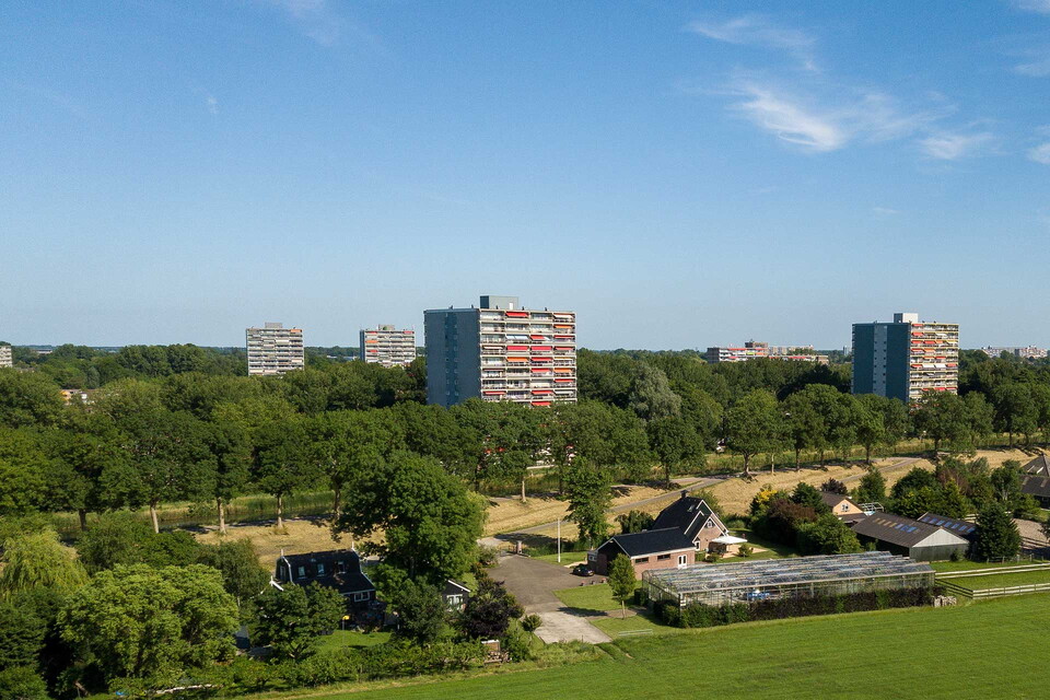 Vacature senior makelaar Purmerend